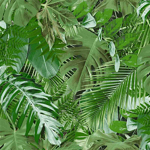 Саратовские Обои Эквадор С31-023В 04